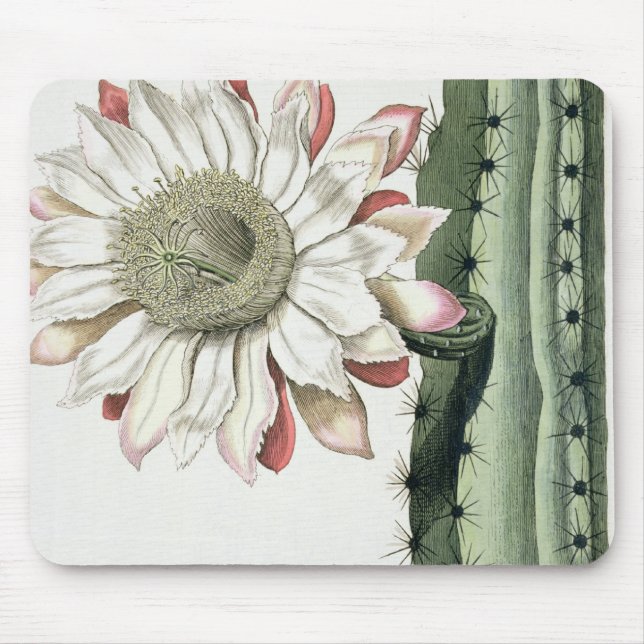 Mousepad Círio Erectus Altissimus Syrinamensis 'de Phyth (Frente)