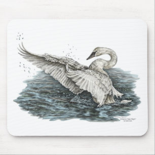 Mousepad Cisne branco na água
