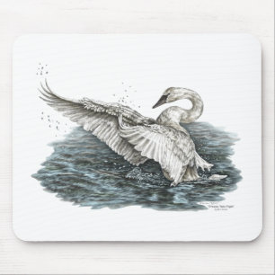 Mousepad Cisne branco na água