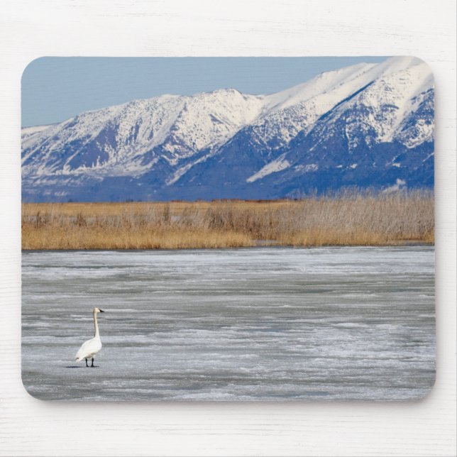 Mousepad Cisne e neve (Frente)