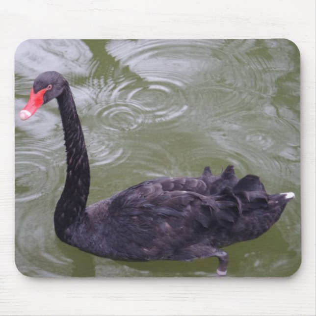 Mousepad Cisne Negro (Frente)