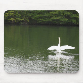Mousepad Cisne no Town Lake