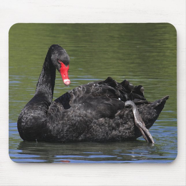 Mousepad Cisne preta (Frente)