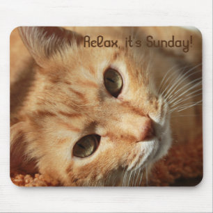 Mousepad Citação do gato