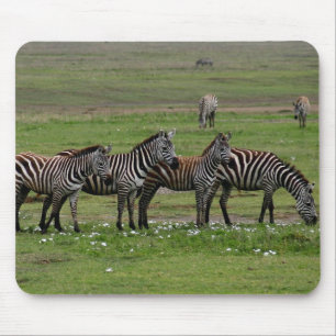 Mousepad Clã Zebra
