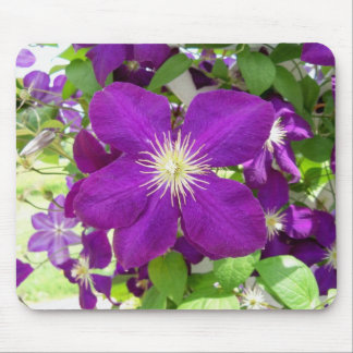 Mousepad Clematis roxo