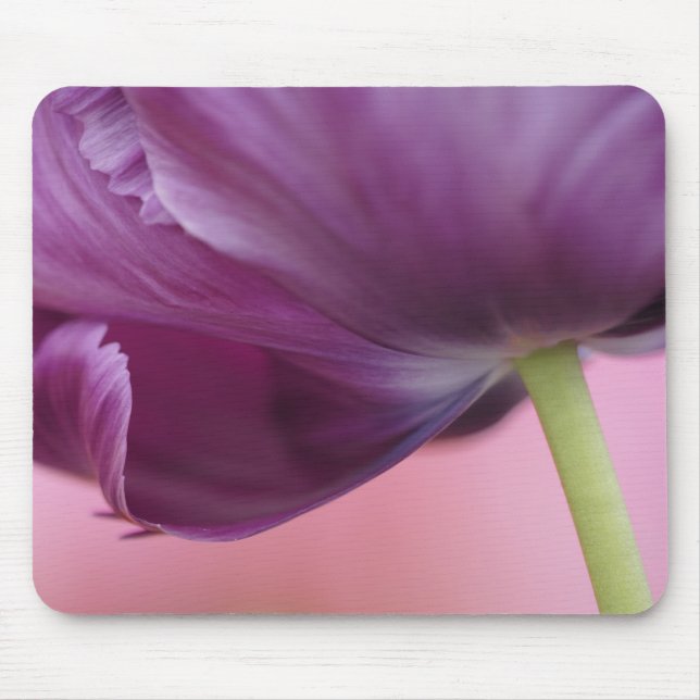 Mousepad Close-up da parte inferior da flor de tulipa, Kuek (Frente)