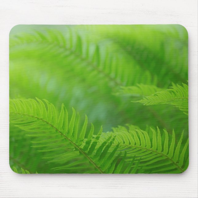 Mousepad Close-up da samambaia-espada (Frente)