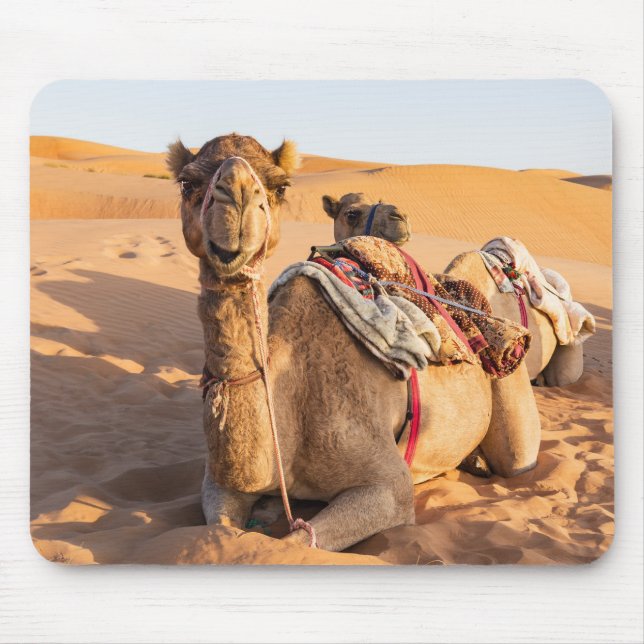 Mousepad Close-up em camelo no deserto de Omã (Frente)