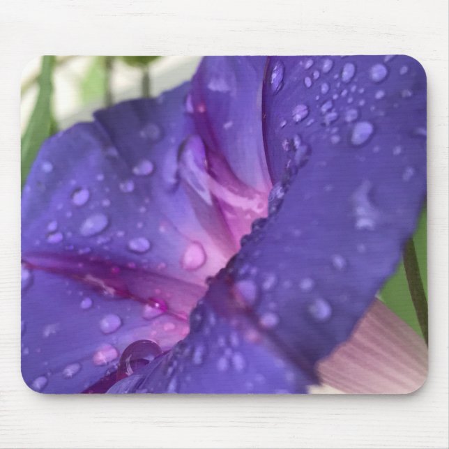 Mousepad Closeup Purple Dewdrop Morning Glory Close-up (Frente)