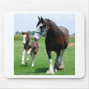 Mousepad Clydesdale e potro