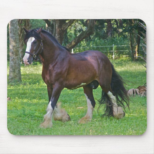 Mousepad Clydesdale Horse (Frente)