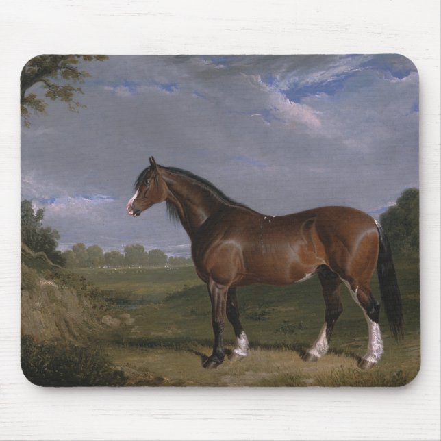 Mousepad Clydesdale Stallion (Cavalo de raça pura) (Animal) (Frente)