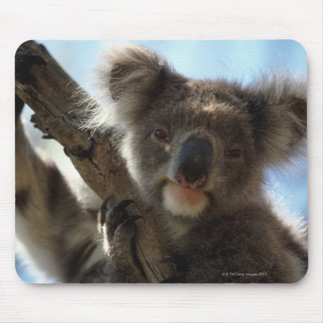 Mousepad coala (Frente)