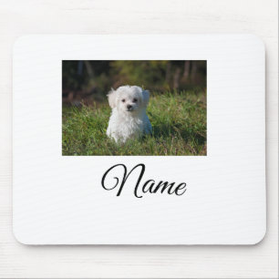 Mousepad Cobertor personalizado com foto de animal colorido