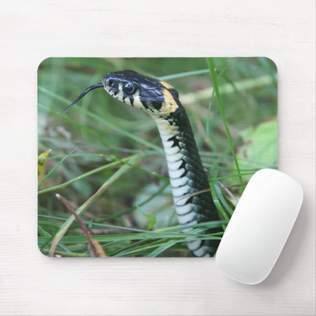 Mousepad Cobra (Com mouse)