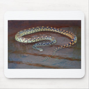 Mousepad Cobra