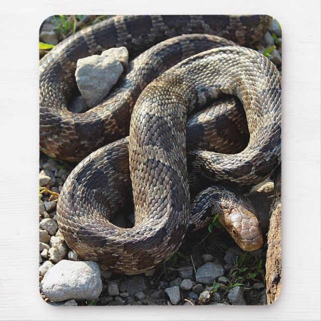 Mousepad Cobra (Frente)