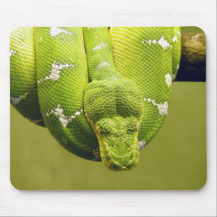 Mousepad Cobra