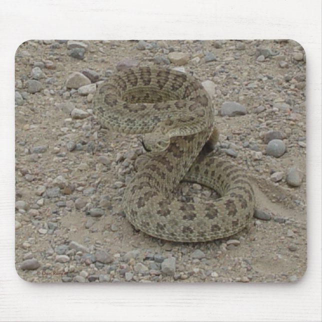 Mousepad Cobra de Cascavel da R9 Pradaria Enrolada (Frente)