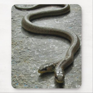 Mousepad Cobra de duas cabeças