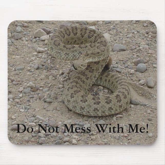Mousepad Cobra de pradaria R9 enrolada (Frente)