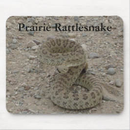 Mousepad Cobra de pradaria R9 enrolada