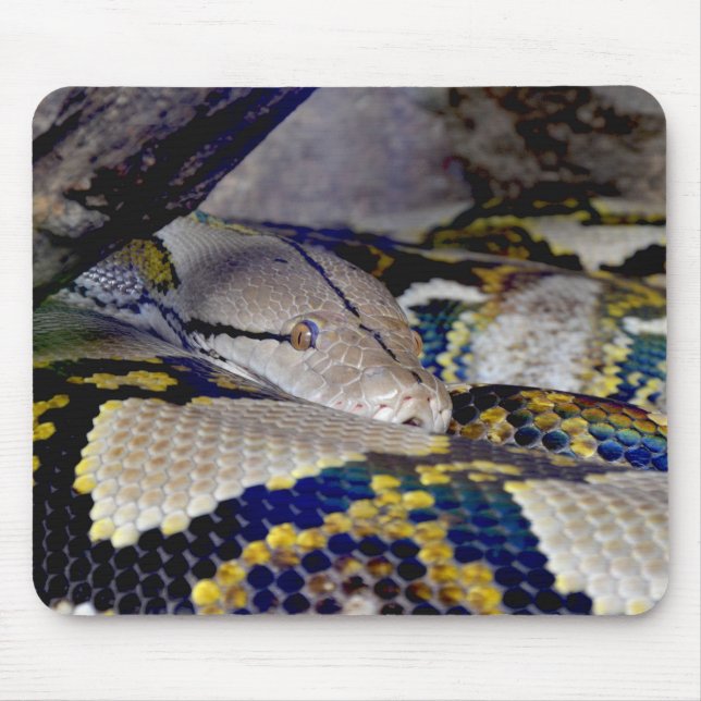 Mousepad Cobra de Python reticulado (Frente)