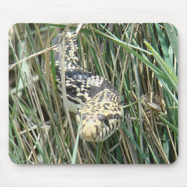 Mousepad Cobra de R4 Bull na grama (Frente)