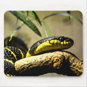 Mousepad Cobra preto e amarelo