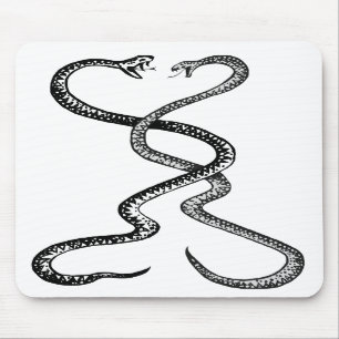 Mousepad Cobras no teclado do mouse em combate