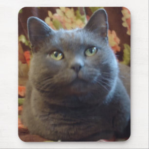 Mousepad Cócegas