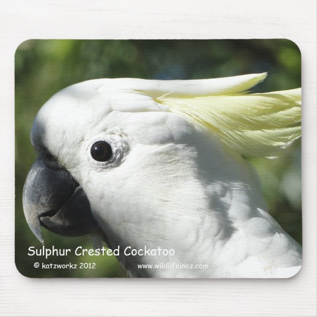 Mousepad Cockatoo com crista do enxofre (Frente)