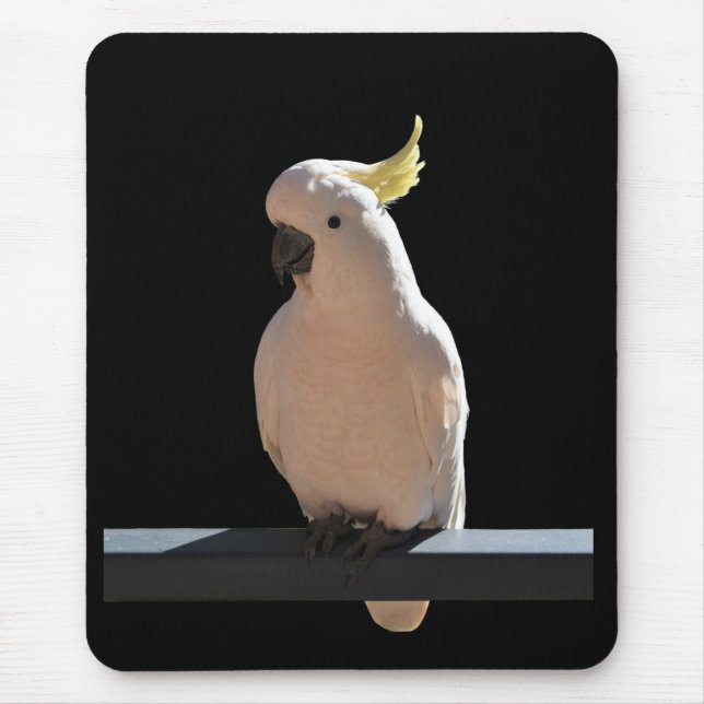 Mousepad Cockatoo nos apartamentos de relógio de sol (Frente)