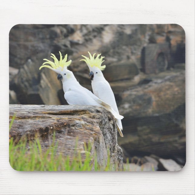 Mousepad Cockatoos (Frente)