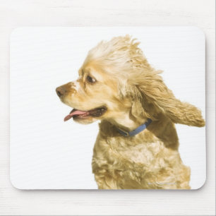 Mousepad Cocker spaniel