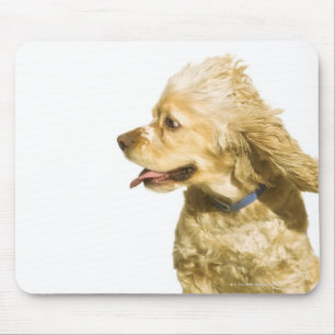 Mousepad Cocker spaniel