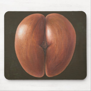 Mousepad Coco de Mer Maldives 2012