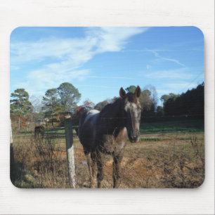 Mousepad Coco e cavalo castanho creme