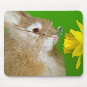 Mousepad Coelhinho Com Daffodil