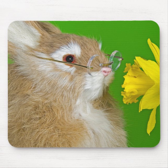 Mousepad Coelhinho Com Daffodil (Frente)