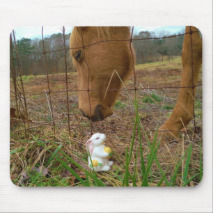 Mousepad coelhinho de cavalo e Primavera