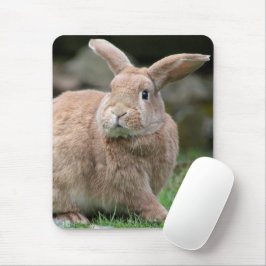 Mousepad Coelhinho de gengibre bonito com orelhas grandes