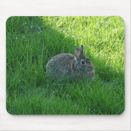 Mousepad coelho