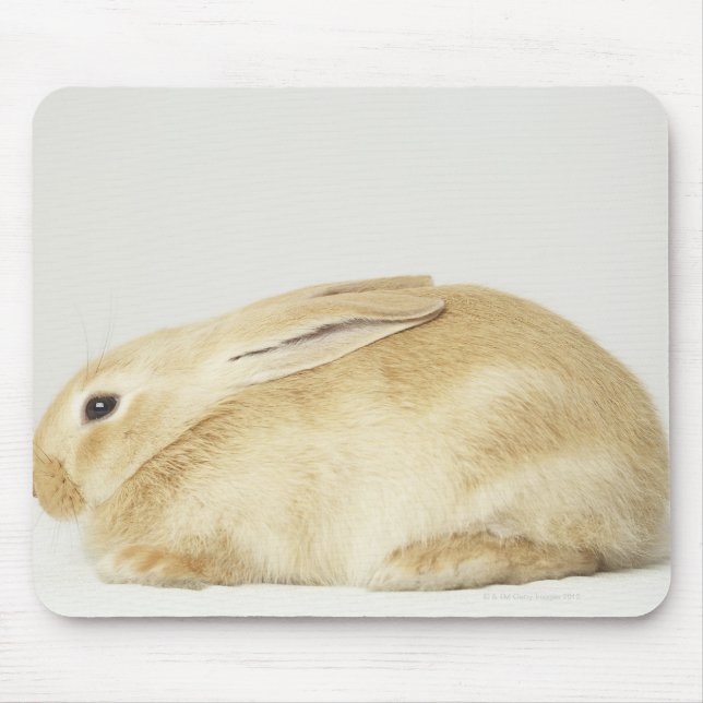 Mousepad Coelho bege sobre fundo branco 4 (Frente)