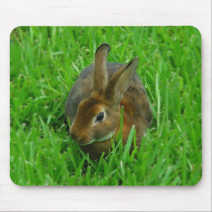 Mousepad Coelho bonito
