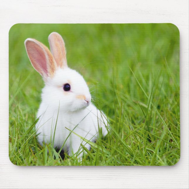 Mousepad Coelho branco (Frente)