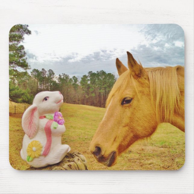 Mousepad Coelho branco e cavalo amarelo (Frente)