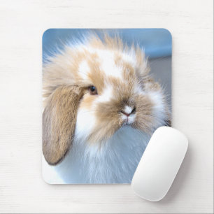 Mousepad Coelho branco-flamengo-cavo