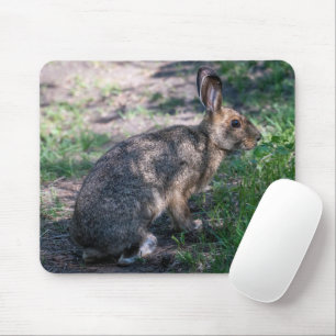 Mousepad Coelho castanho, Descansado na Natureza